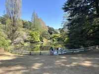 [Japan 2025 ] Yoyogi Koen April 2025