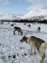A trip to Tromso