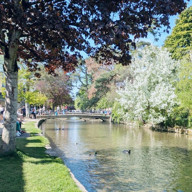 The Cotswolds: Secluded Splendour