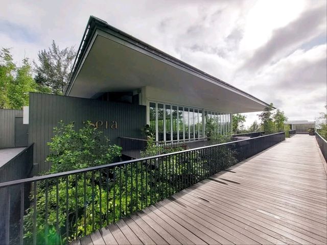 “Cove 55: Kuching’s Hidden Sanctuary by the Sea”