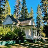 🏕️ Where to Stay in & Around Yosemite National Park 🏞️