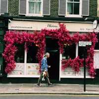 🌸 Chelsea Flower Show 2025: A Blooming Spectacle in London 🌿