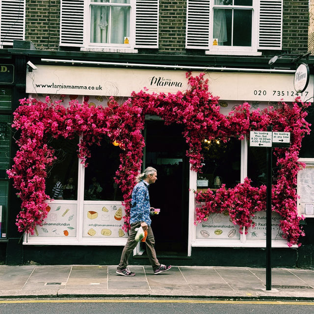 🌸 Chelsea Flower Show 2025: A Blooming Spectacle in London 🌿