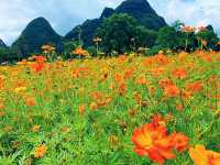 🌿 I Thought I’d Seen Beautiful – Then I Found Yangshuo 🇨🇳