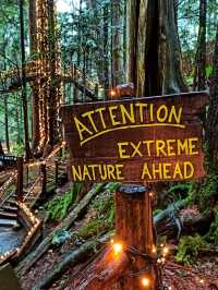 Capilano Suspension Bridge Park: Nature Meets Thrill in Vancouver’s Backyard
