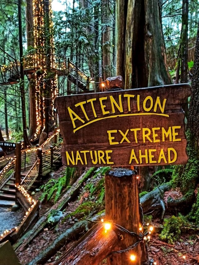 Capilano Suspension Bridge Park: Nature Meets Thrill in Vancouver’s Backyard