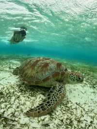 #maldives# pristine nature# diving#sandbank