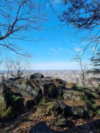 Royal Park, Montreal : an amazing park 