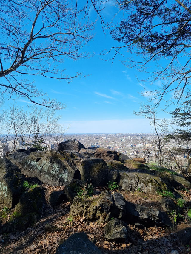 Royal Park, Montreal : an amazing park 