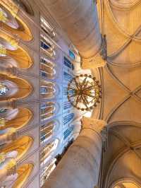 ⛪️ Notre-Dame de Paris: The Soul of Gothic Splendor on the Seine 🕯🇫🇷
