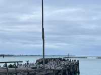 New Zealand Oamaru