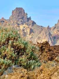 Queen’s Shoe Rock 👠⛰️ – A Whimsical Morning Find in Teide National Park 🌋