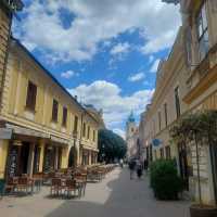 Pécs, the city center is gorgeous.