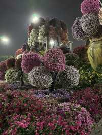 Flowers everywhere- Miracle Garden