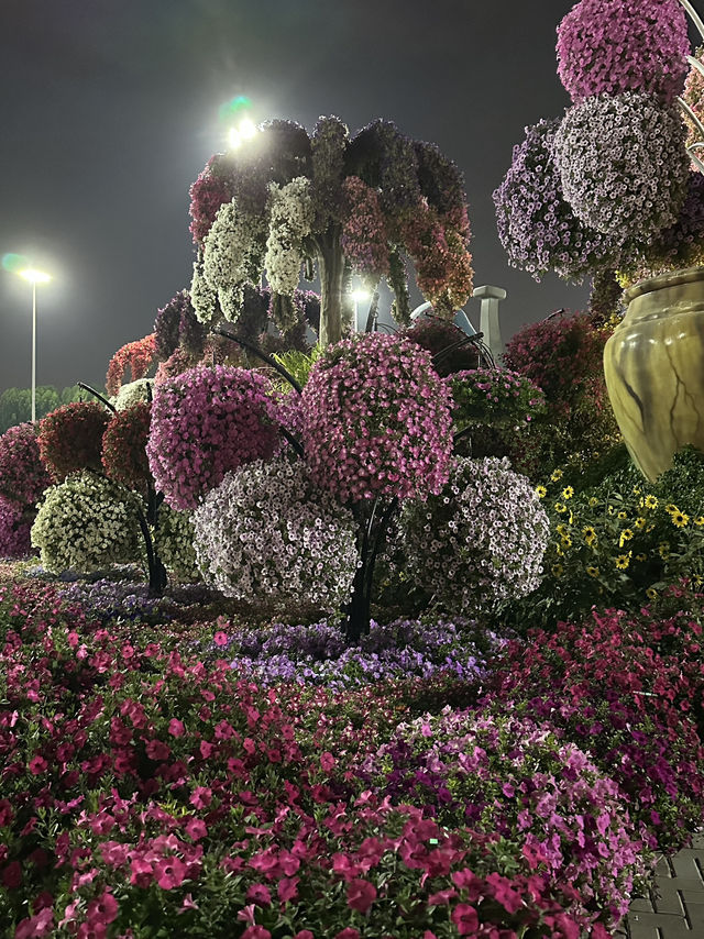 Flowers everywhere- Miracle Garden