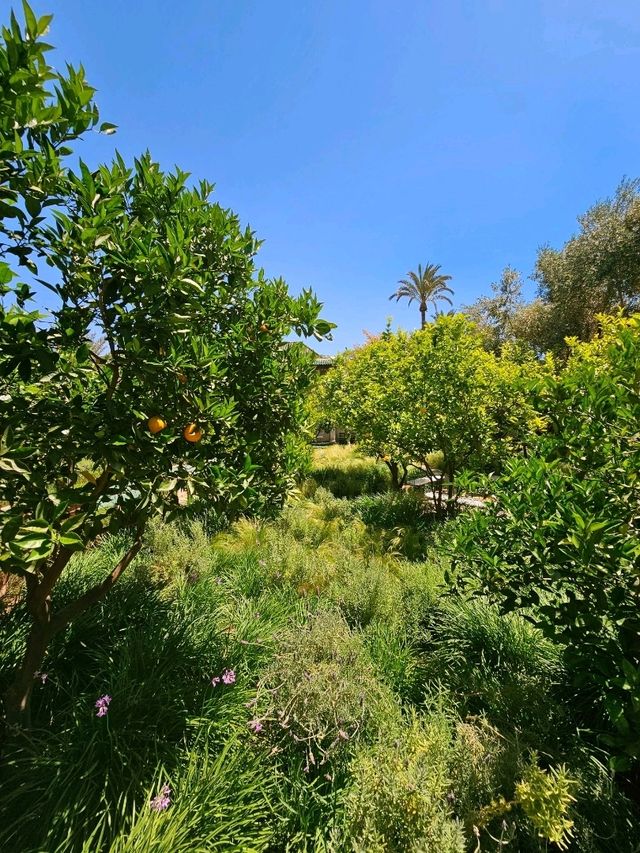 Marrakech❤️