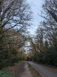 My walk through the Barnes trail in Richmond upon Thames
