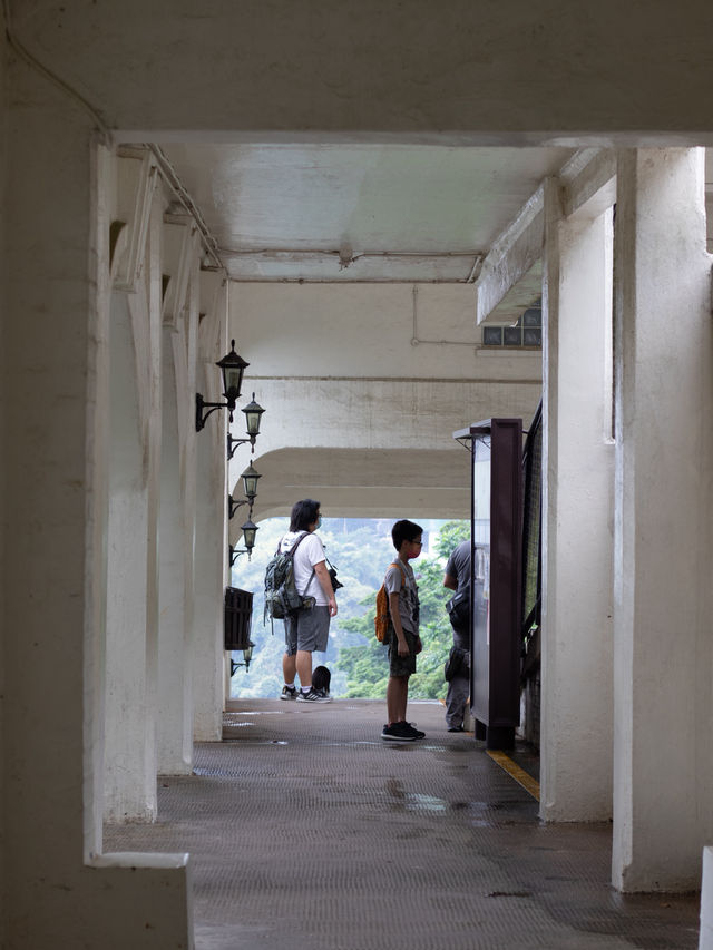 Review of The Peak (Victoria Peak) in Hong Kong