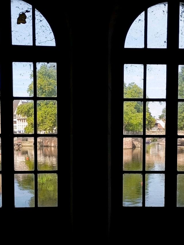 Enchanted Halloween Magic in Strasbourg! 🧙‍♀️✨