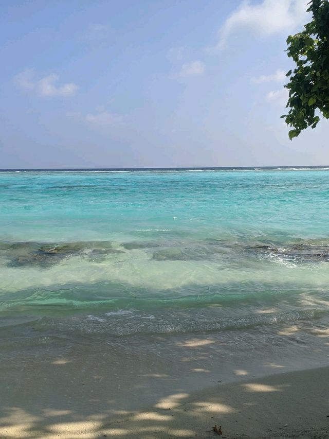Dreamy Maldives Stay🌧️