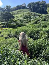 Hangzhou in One Day: What I Wish I Knew Before Going