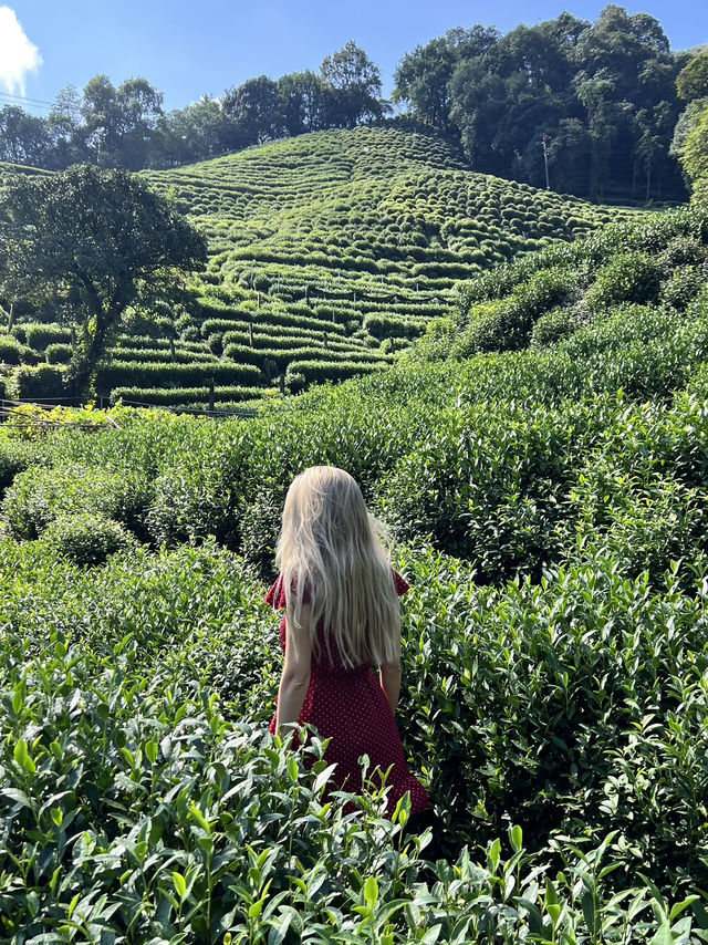 Hangzhou in One Day: What I Wish I Knew Before Going Hangzhou in One Day: What I Wish I Knew Before Going