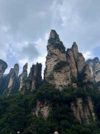 Макаки 🐒 ждут Вас в Национальном парке Чжанцзяцзе ✨ 