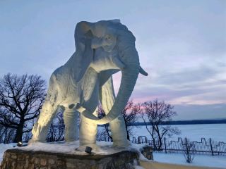 왜 사마라가 코끼리의 고향일까요?。