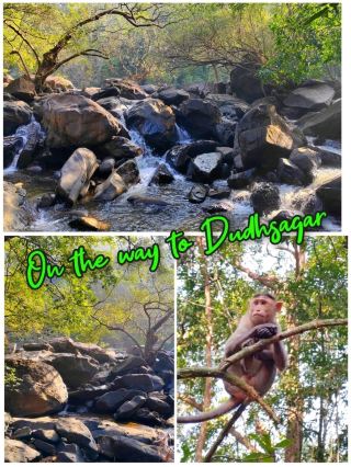 Walking to Dudhsagar: Bridges, Rivers & Jungle 🌉