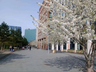 Coventry City Centre and Surrounding Area – 1-Day Trip (Spring 2026)