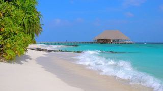🇲🇻 Sustainable Tourism in the Maldives: How Ecology is a Game Changer in 2026 🌱