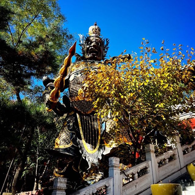 Beijing Day trip - fresh mountain air ⛰️