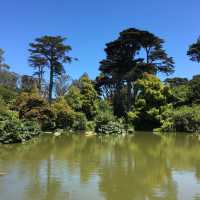 Nature in San Francisco!