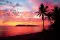nyras_2335