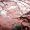 Felix_Winterbourne_82
