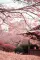 Felix_Winterbourne_82