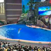 珠海長隆海洋王國之遊樂項目