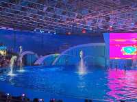 Splashes of Fun at Qingdao Polar Ocean World