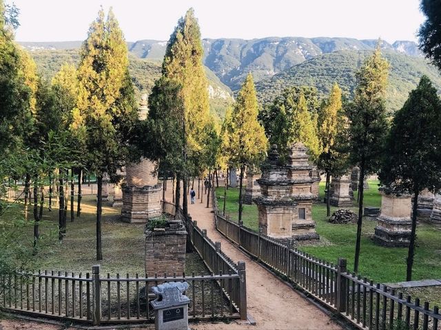 Shaolin Temple-Bucket List ✅
