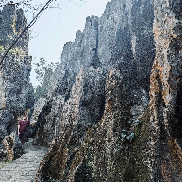 The Stone Forest | Kunming 