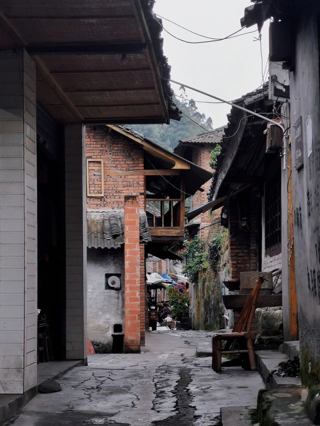 樂山犍為|小鎮趕集日