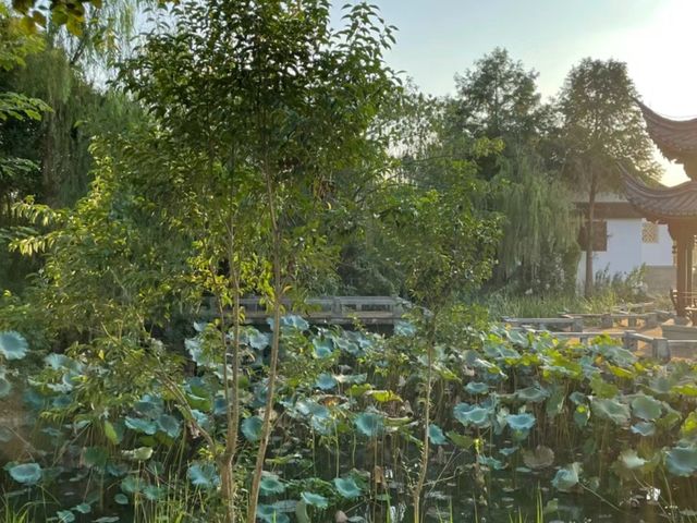 靈湖公園 吹著微風 享受這人世間獨一份的快樂