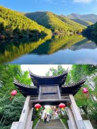 南山竹海賞秋乘網紅火車看大熊貓