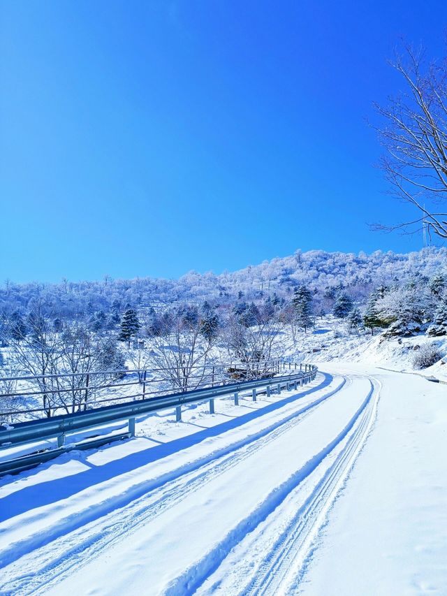 吉林絕美小眾賞雪地：在這個冬天誤入仙境