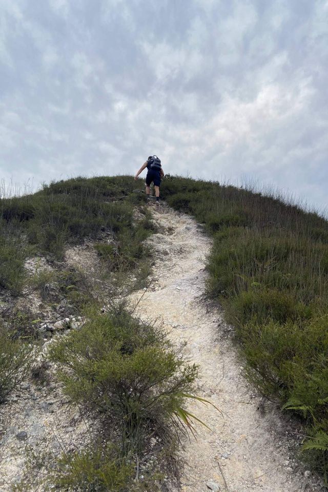 八仙嶺x黃嶺x屏風山．樓梯大挑戰