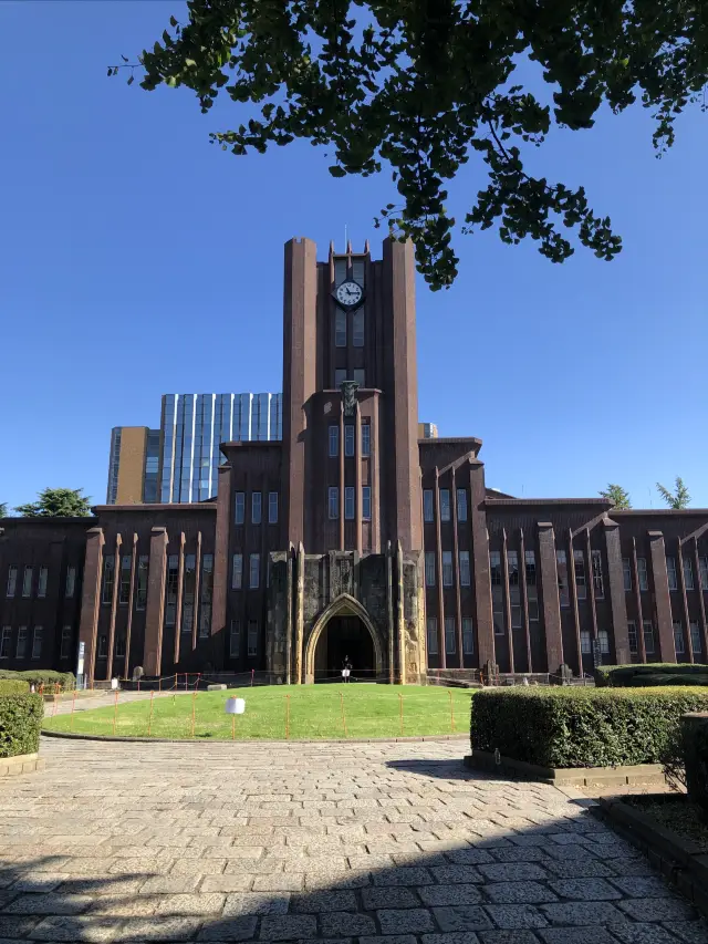 東京大学に入る