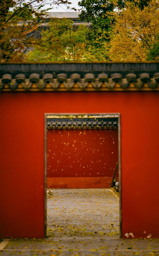 藏在蘇州周邊的百年銀杏地常熟小故宮