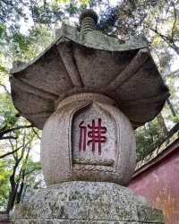 鼓山·涌泉寺丨逛福州神山福州的驕傲