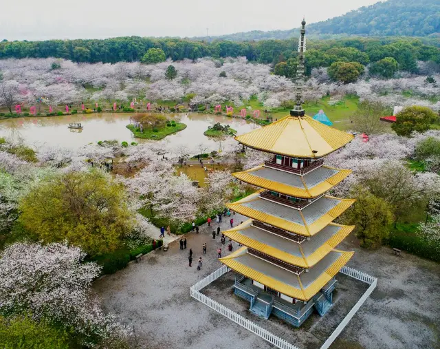 Zhenjiang Jinshan·Jiaoshan·Beigushan Tourist Scenic Area Recommendation