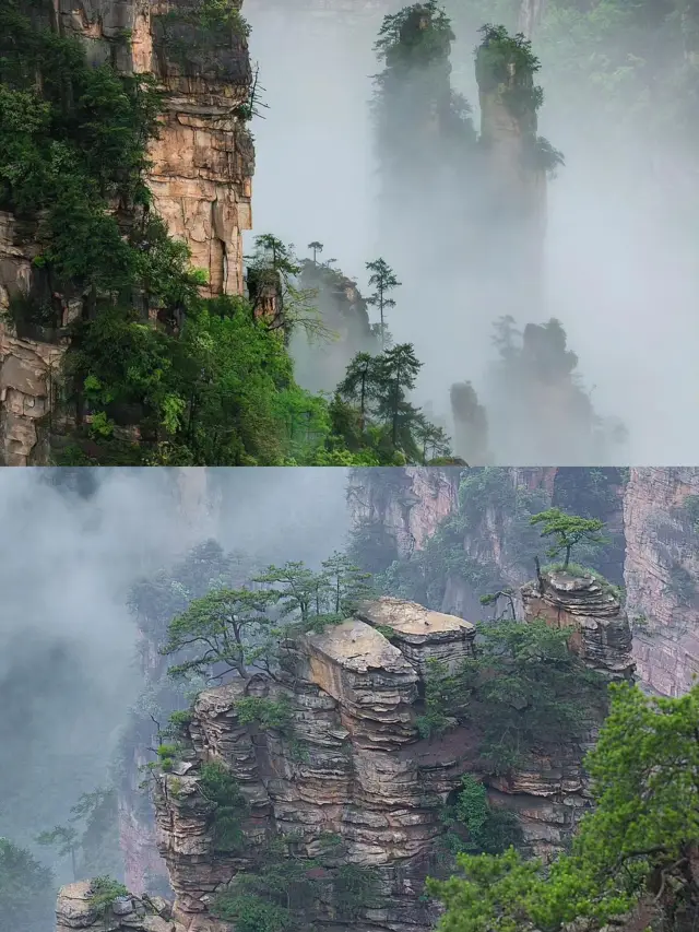 【Zhangjiajie Nanny-level Travel Guide】Warm winter trip, are you ready?